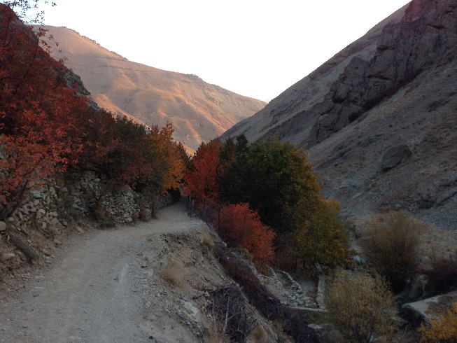 طبیعت زرد پاییزی هنگام صعود به قله توچال از مسیر آهار - شکرآب - توچال